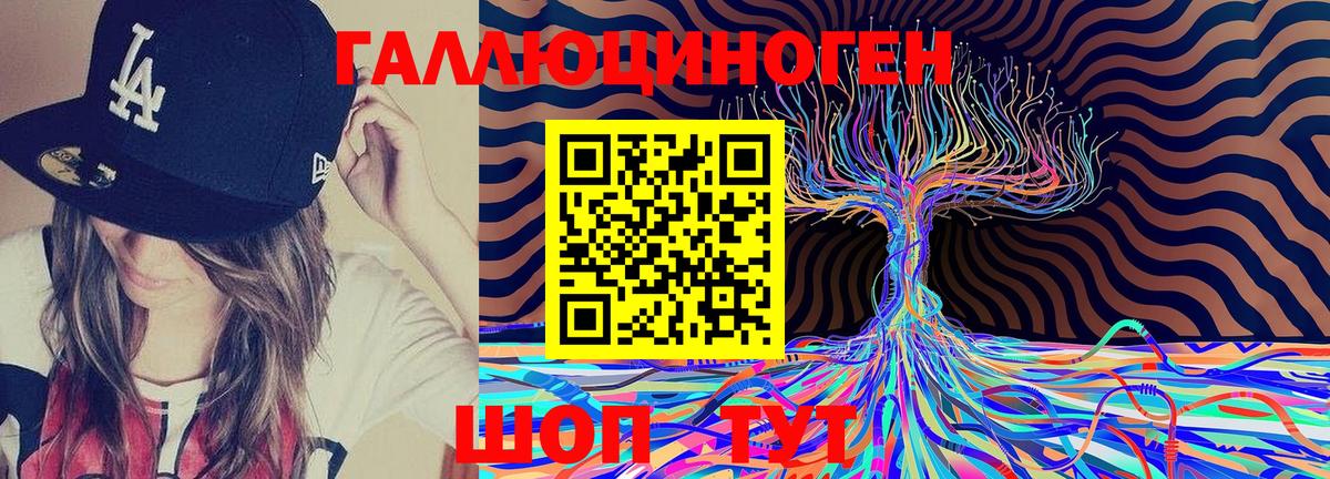 Галлюциногенные грибы Psilocybine cubensis  Вход с VPN  Качканар 